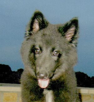Ella