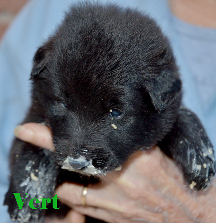 photos  venir prochainement