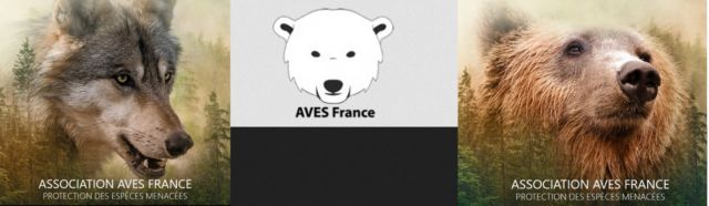 https://www.aves.asso.fr/