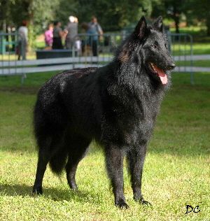 Bouba Bouba