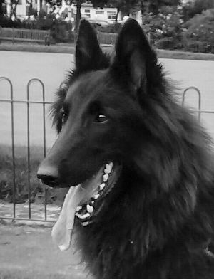 Jolì photos Jolì photos