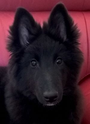 Nahla Nahla